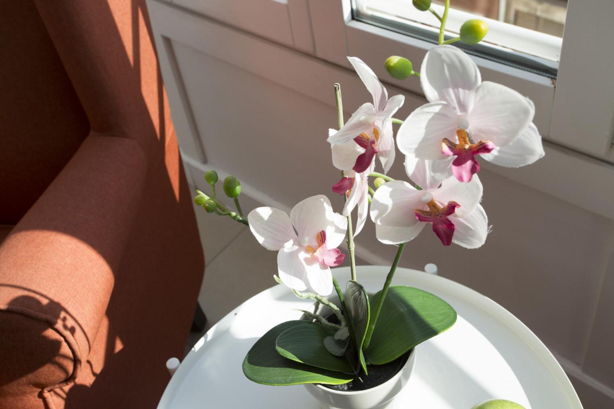 Appartement Singularstays Mar44